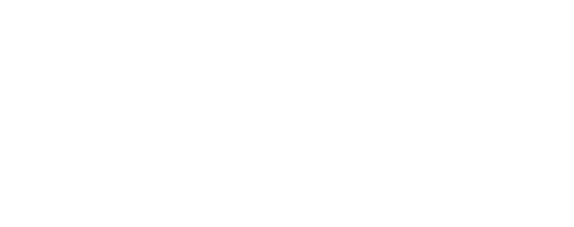 davison gas services logo upscaled white